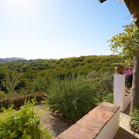 Villa Botero Константина Екстериор снимка